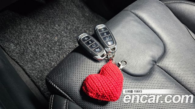 Hyundai Santafe 2019 — photo 20