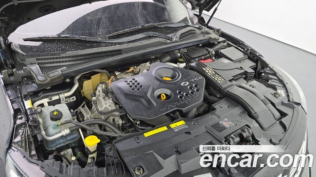 Renault Korea SM6 2016 — photo 6