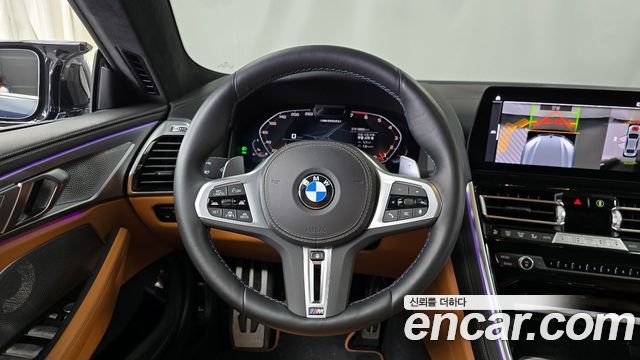 BMW 8-Series 2022 — photo 19