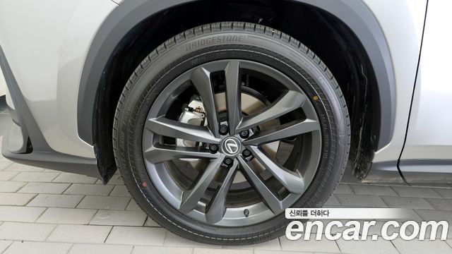 Lexus NX 2025 — photo 5