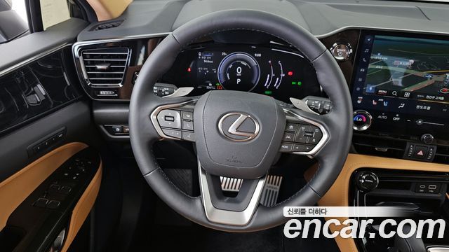 Lexus NX 2025 — photo 19