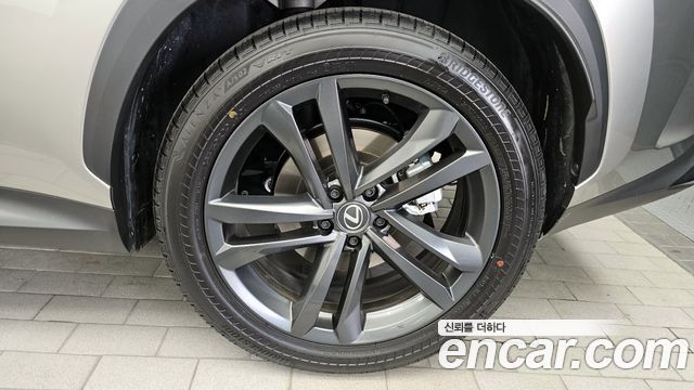 Lexus NX 2025 — photo 7