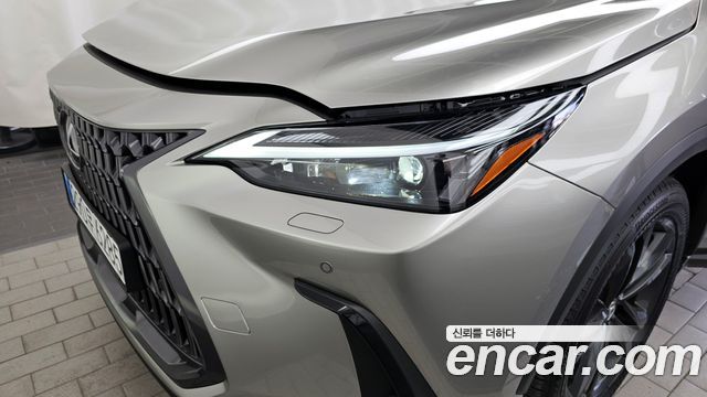 Lexus NX 2025 — photo 8