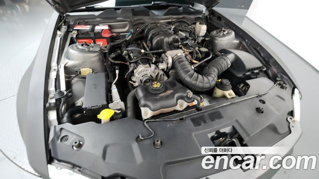 Ford Mustang 2010 — photo 6