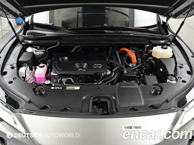 Lexus RX 2025 — photo 6