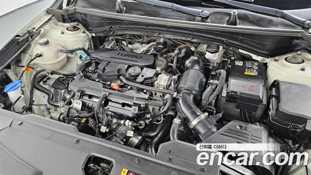 Kia Sportage 2022 — photo 6