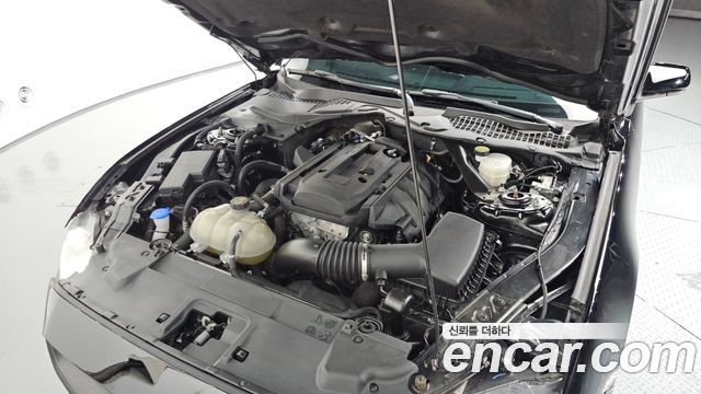 Ford Mustang 2023 — photo 5