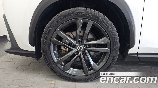 Lexus NX 2023 — photo 5