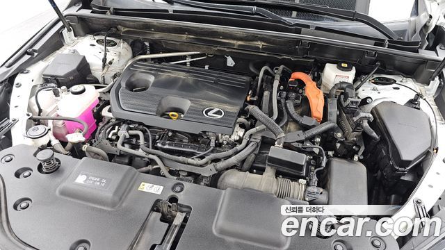 Lexus NX 2023 — photo 6