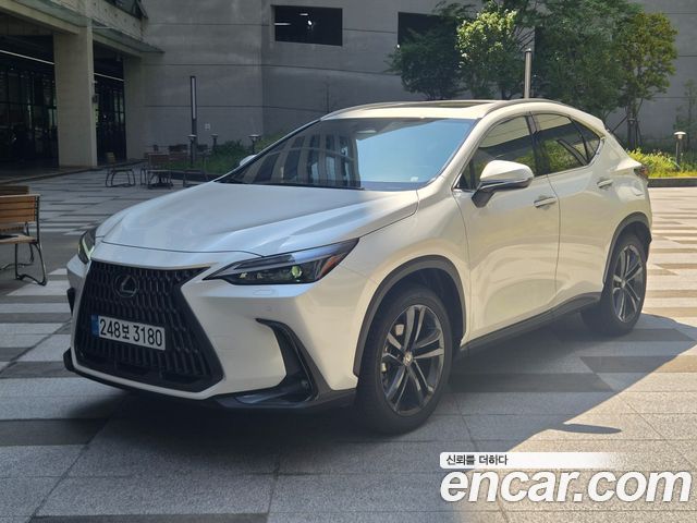 Lexus NX 2025 — photo 1