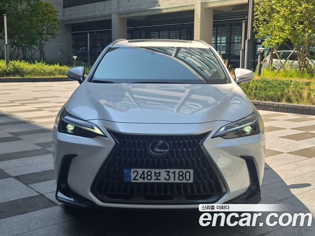 Lexus NX 2025 — photo 3