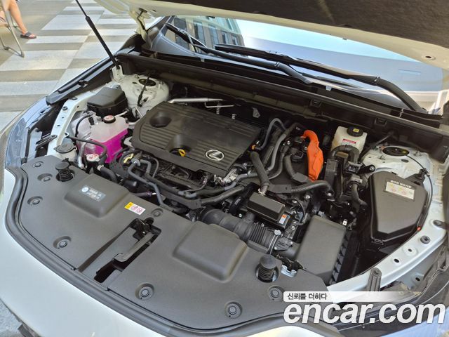 Lexus NX 2025 — photo 6