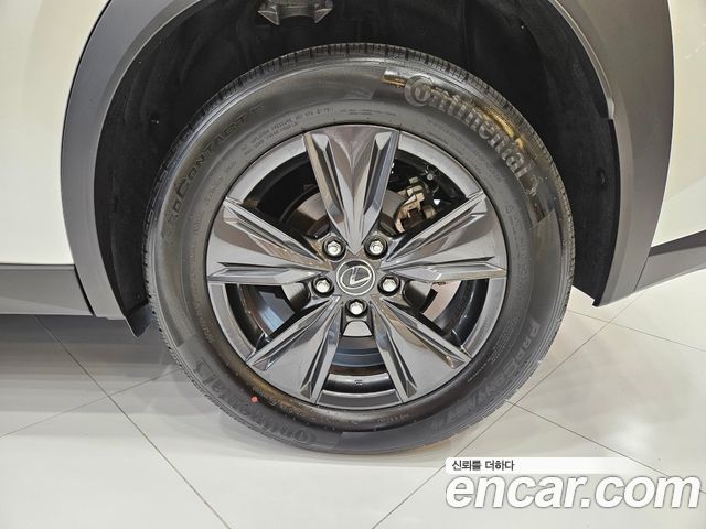 Lexus UX 2025 — photo 6