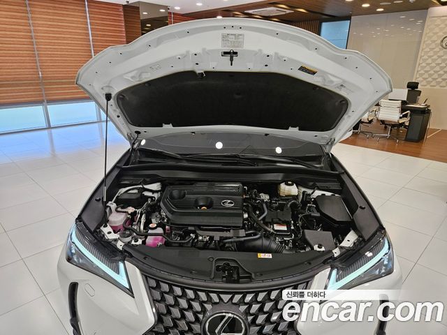 Lexus UX 2025 — photo 8
