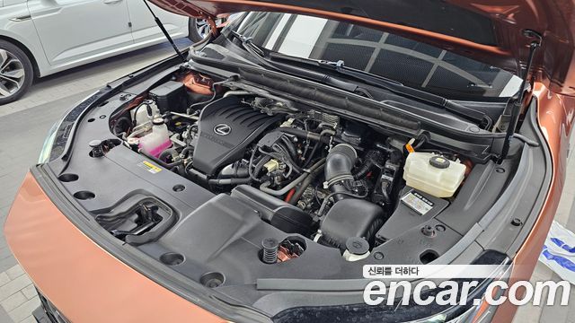 Lexus RX 2023 — photo 6