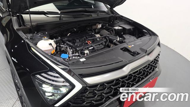 Kia Sportage 2023 — photo 6