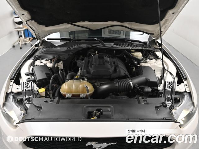Ford Mustang 2017 — photo 20