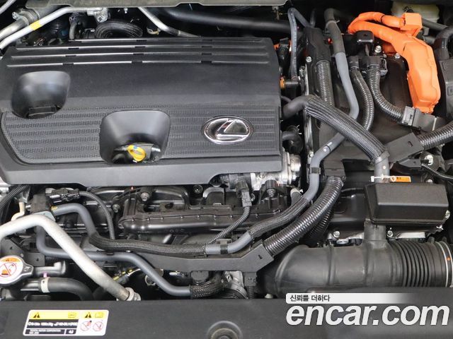 Lexus RX 2025 — photo 6