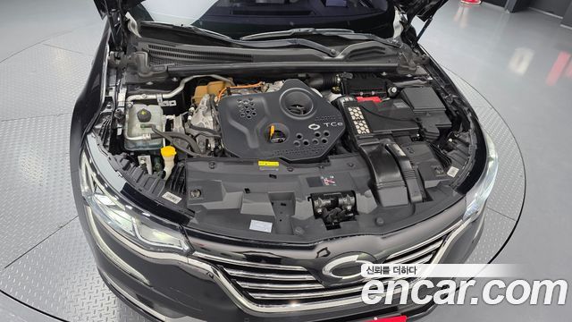 Renault Korea SM6 2019 — photo 6
