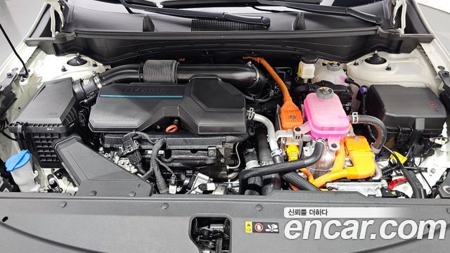 Kia Sportage 2024 — photo 6