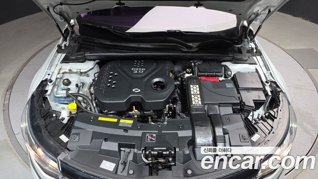 Renault Korea SM6 2016 — photo 6