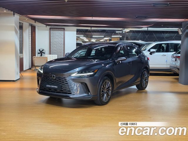 Lexus RX 2025 — photo 1