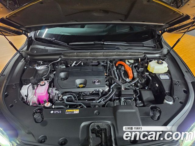 Lexus RX 2025 — photo 6