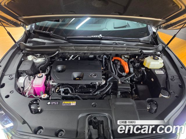 Lexus RX 2025 — photo 6
