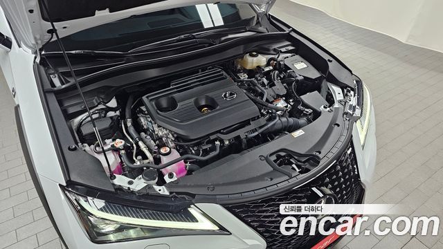 Lexus UX 2026 — photo 6