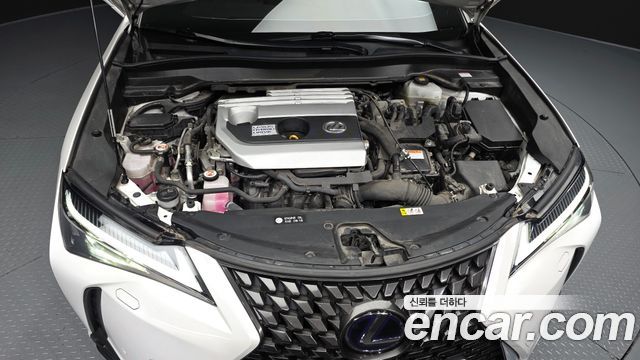Lexus UX 2020 — photo 6