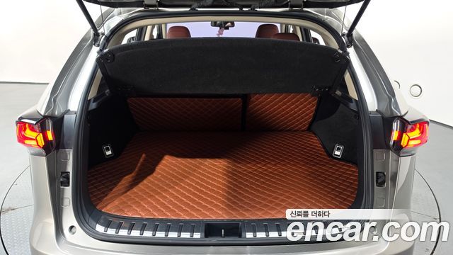 Lexus NX 2017 — photo 15