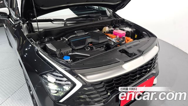 Kia Sportage 2024 — photo 6