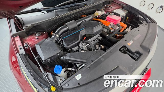 Kia Sportage 2023 — photo 6