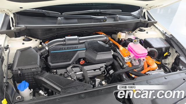 Kia Sportage 2023 — photo 6