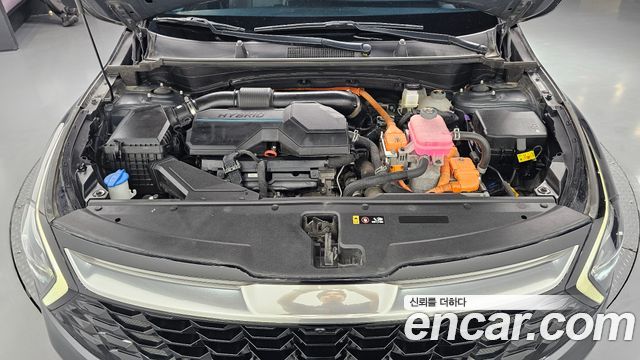 Kia Sportage 2023 — photo 6