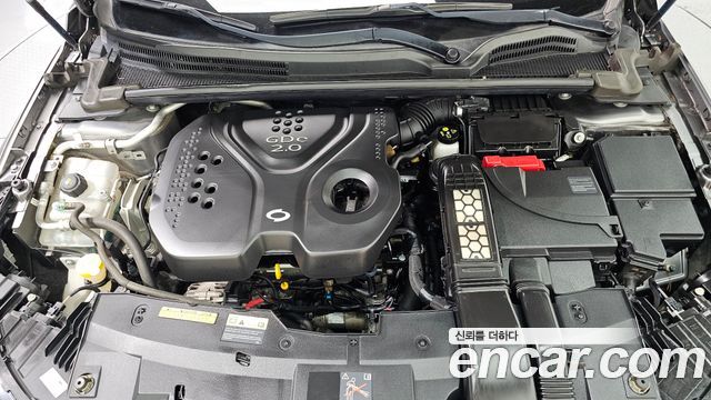 Renault Korea SM6 2016 — photo 6