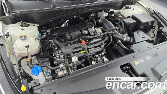 Kia Sportage 2025 — photo 6