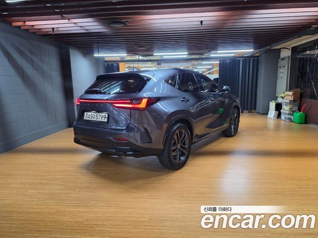 Lexus NX 2023 — photo 2