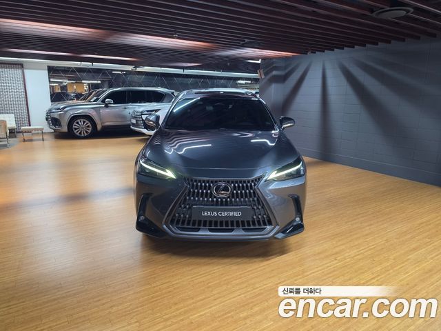 Lexus NX 2023 — photo 3