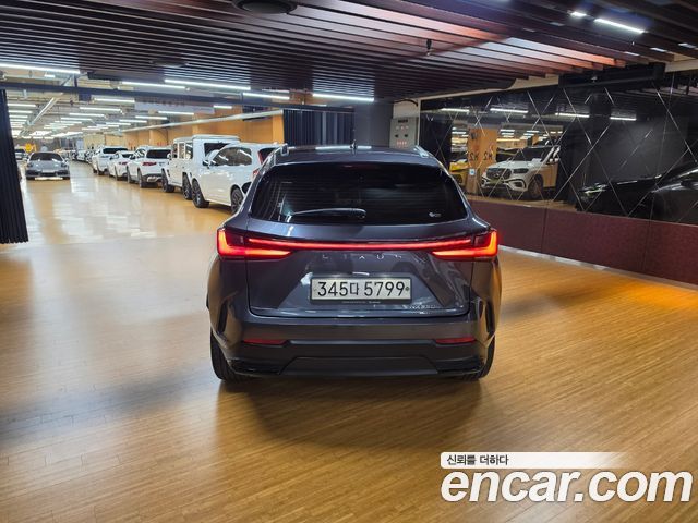 Lexus NX 2023 — photo 4