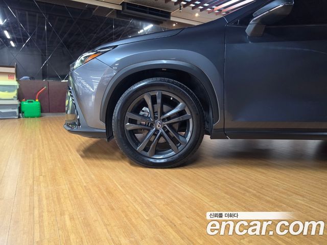 Lexus NX 2023 — photo 5