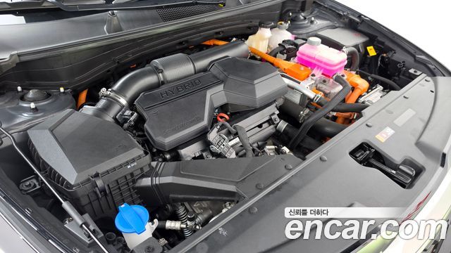Kia Sportage 2025 — photo 6