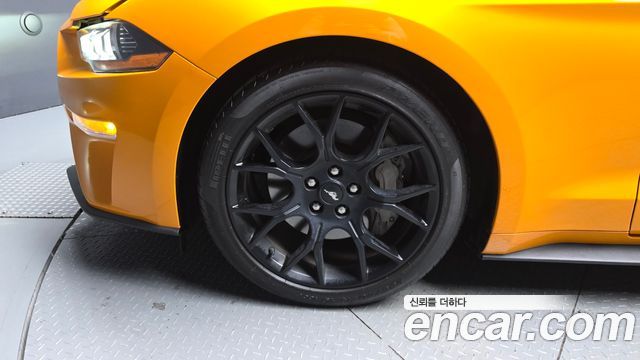 Ford Mustang 2019 — photo 5