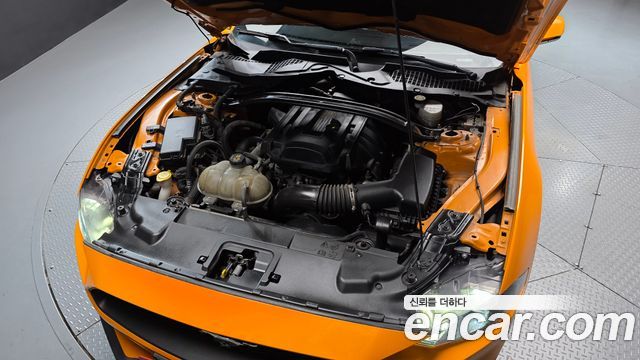 Ford Mustang 2019 — photo 6