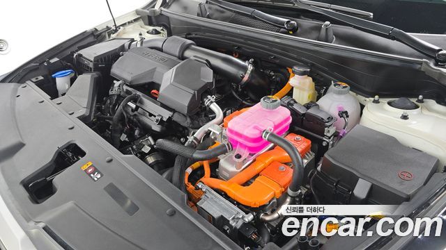 Kia Sportage 2026 — photo 6