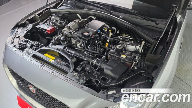 Jaguar F-PACE 2017 — photo 6