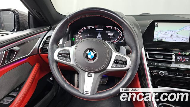BMW 8-Series 2020 — photo 13