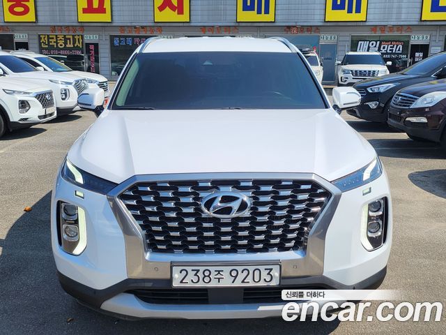 Hyundai Palisade 2019 — photo 1