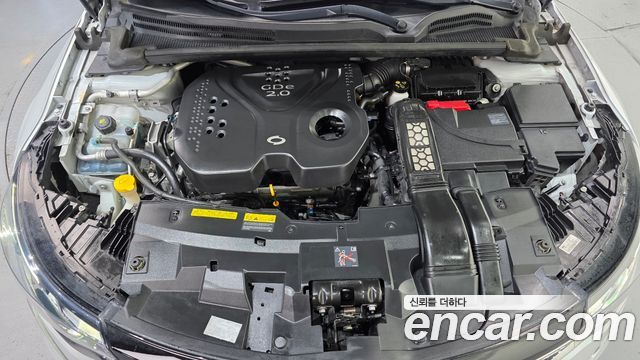 Renault Korea SM6 2017 — photo 6