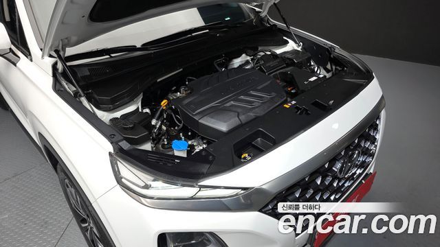 Hyundai Santafe 2019 — photo 6
